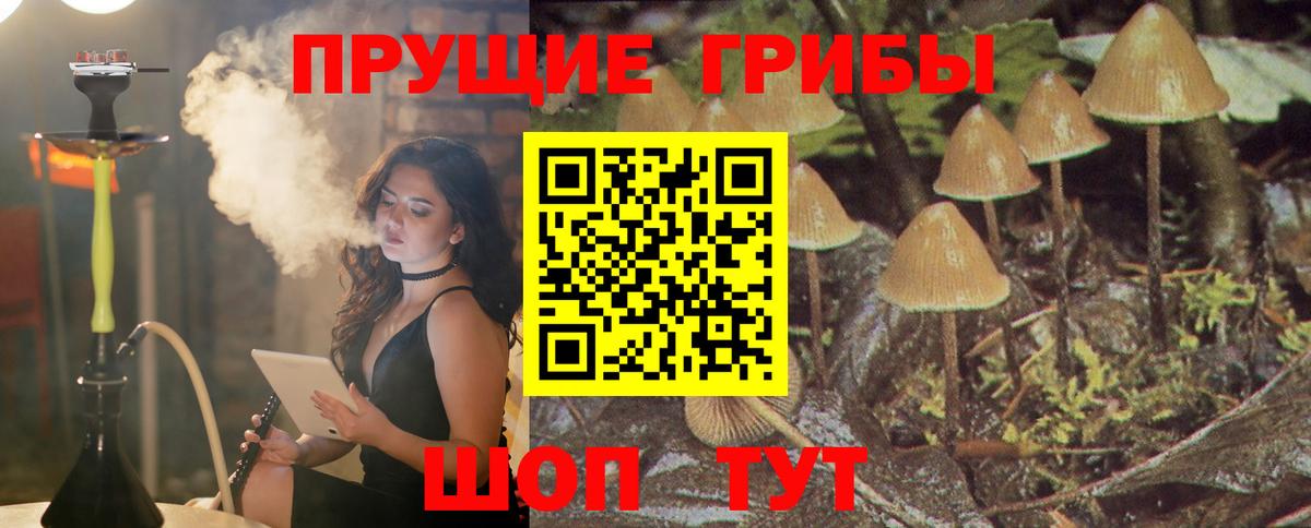 Псилоцибиновые грибы Magic Shrooms  Вход с VPN  Кировск 