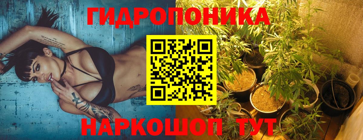 Кировск  Бошки Шишки сатива  Бошки Шишки SATIVA & INDICA  Вход с VPN  МАРИХУАНА Bruce Banner 